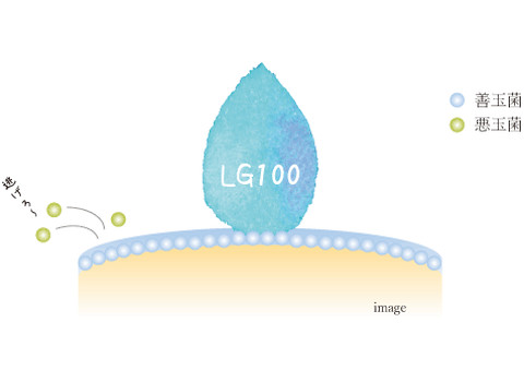 乳酸菌から作られた成分「LG100」